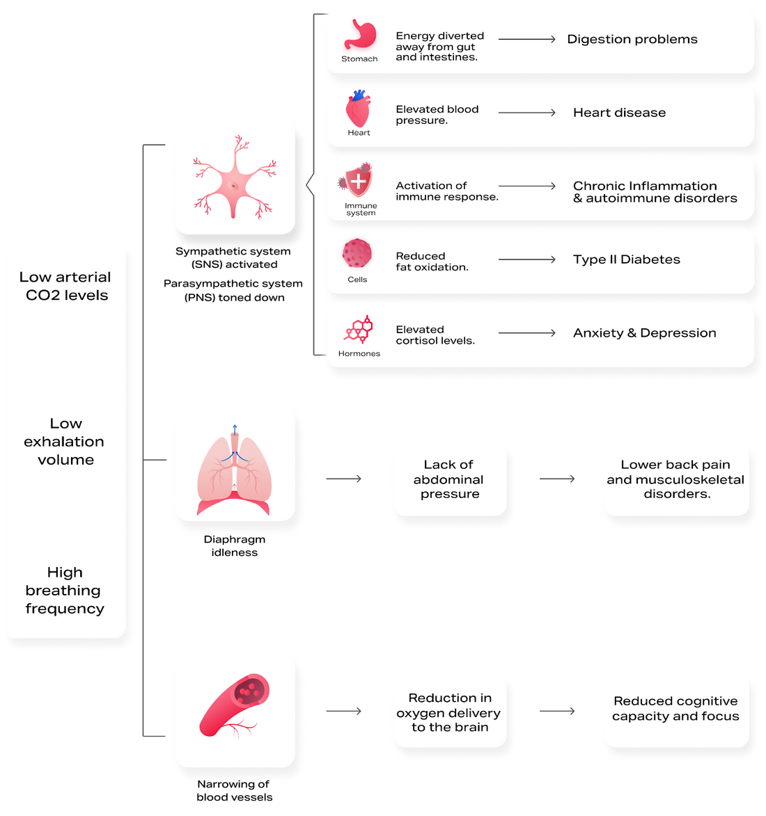 Breathing & Health