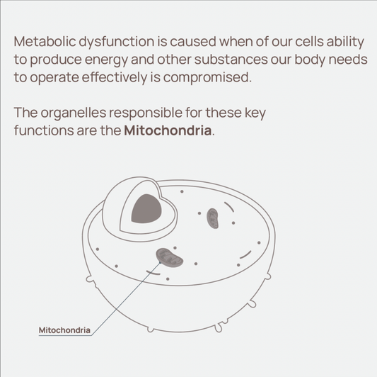 Metabolism & Mental Health